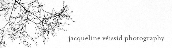 jacqueline veissid photography