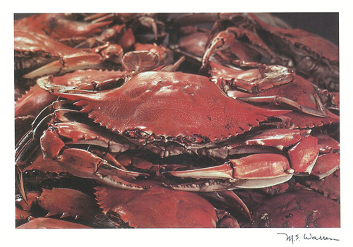 [ChesapeakeCrabs200.jpg]