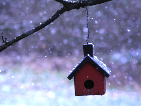 [falling_snow_birdhouse_forw.jpg]