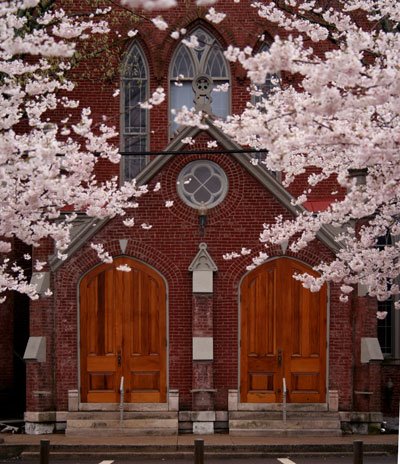 [church_blossoms_forweb.jpg]