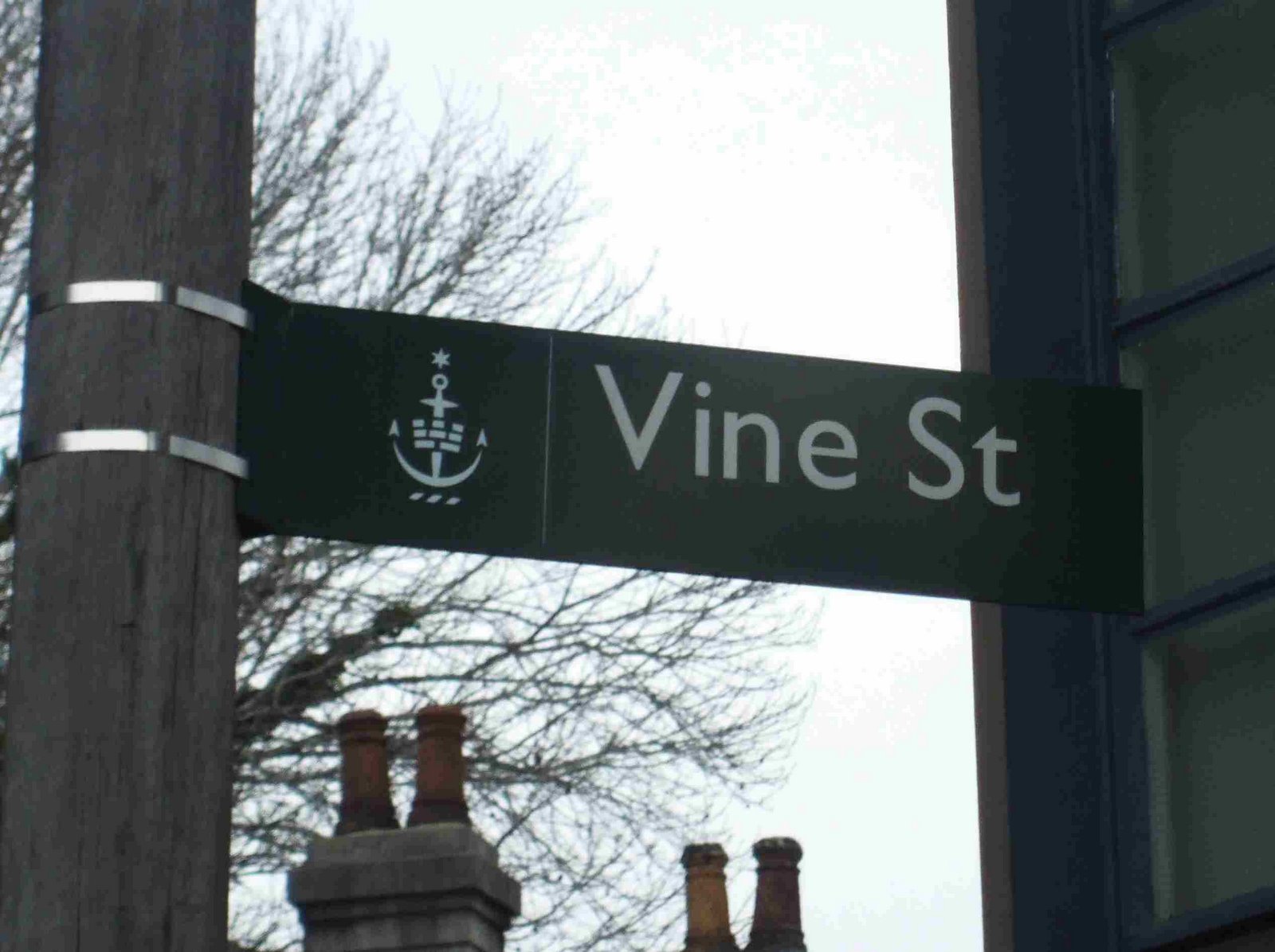 [Vine+Street.jpg]