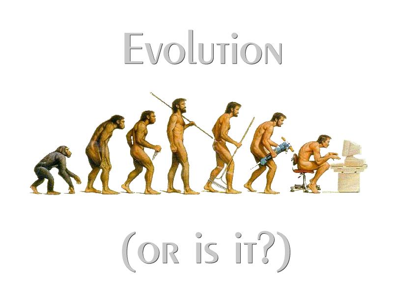 [Evolution.jpg]