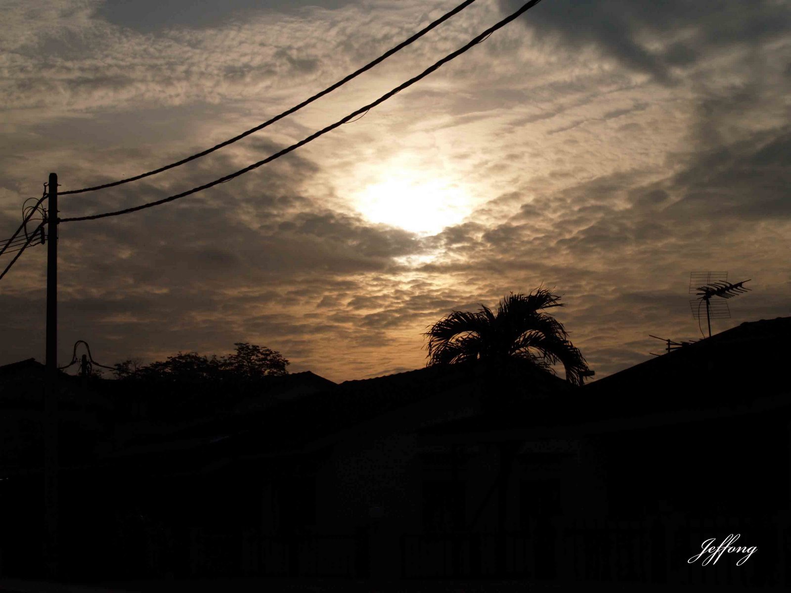 [morning+sun.jpg]