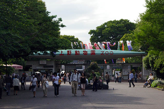 [Ueno-zoo.jpg]