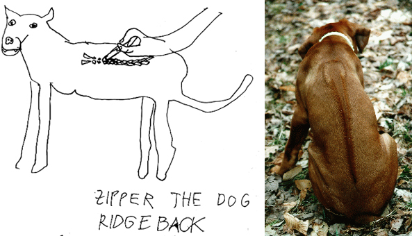 [ridgeback+comparison.jpg]