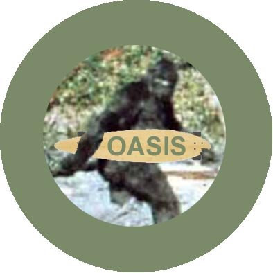 [Oasis+Bigfoot+Longboard+Button.jpg]