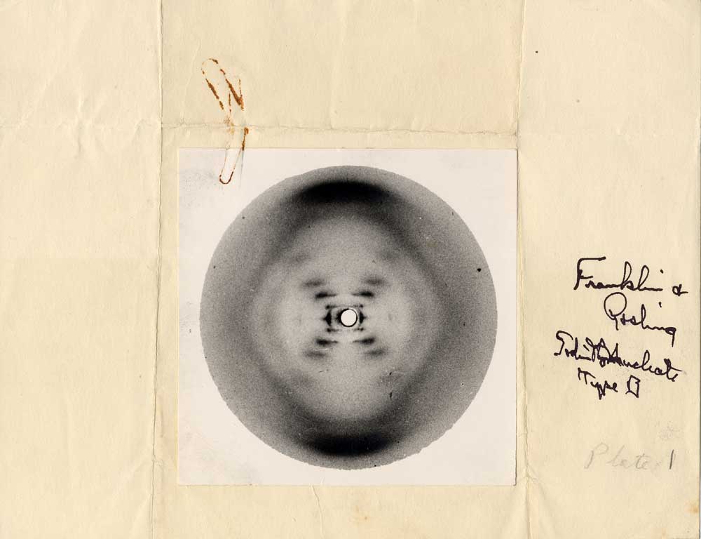 Rosalind Franklin's Infamous X-Ray Crystallography Picture at the core of Watson and Crick's Model