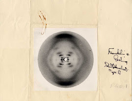 Rosalind Franklin's Infamous X-Ray Crystallography Picture at the core of Watson and Crick's Model