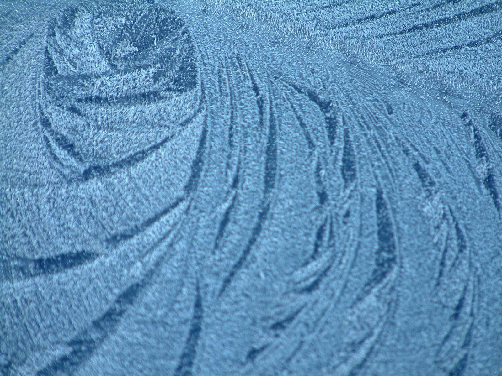 [frost+02.jpg]