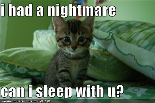 [funny-pictures-kitten-had-a-nightmare.jpg]