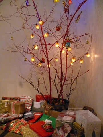 [noosa+christmas+tree.jpg]