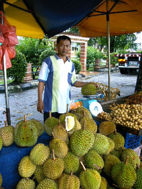 [Durian+002.jpg]