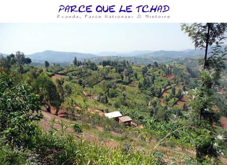 Parce Que Le Tchad - le film | RWANDA. PARCS NATIONAUX. HISTOIRE