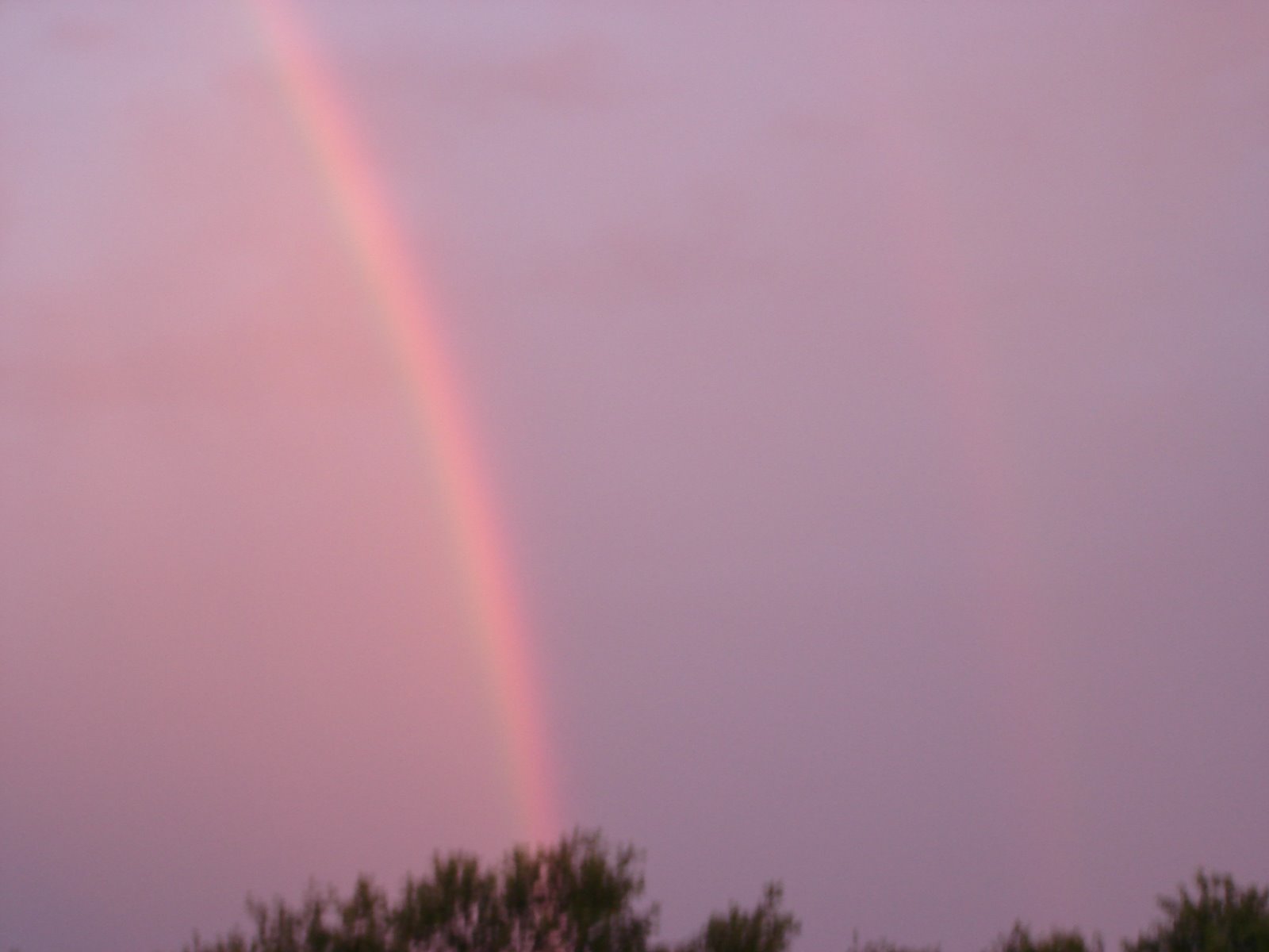 [Somewhere+Over+The+Rainbow+(5)+-+06+21+08.jpg]