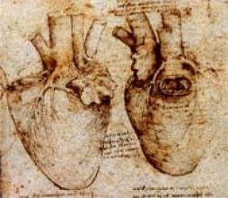 [anatomical_heart-254x221.jpg]
