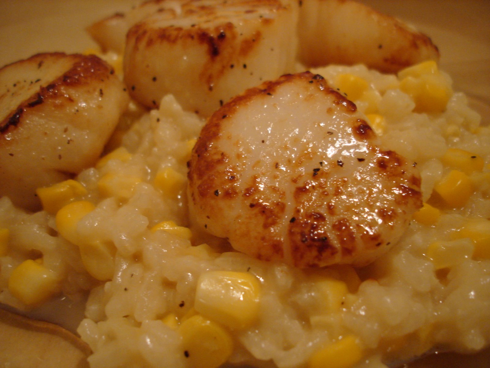 [seared+scallops+with+roasted+corn+risotto.JPG]