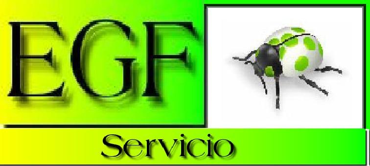 [logotipo+servicio.JPG]