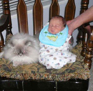 [kitty+baby.jpg]