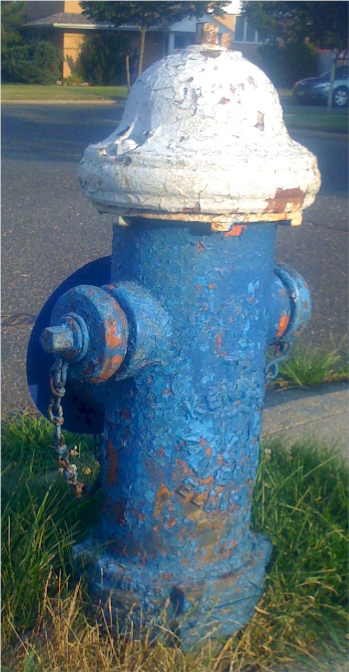 [hydrant.jpg]
