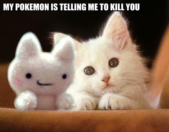 [my-pokemon-is-telling-me-to-kill-you.jpg]