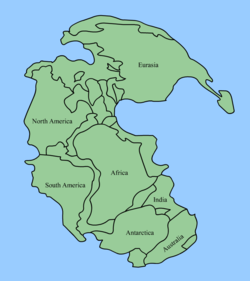 [250px-Pangaea_continents.png]