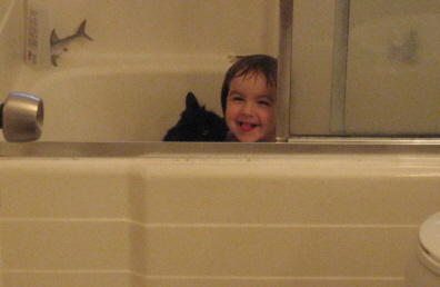 [bath+tub+cat.jpg]