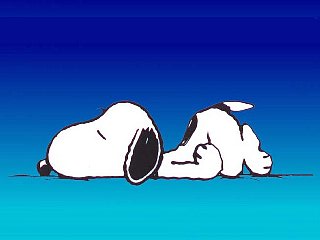 [Snoopy-sleep.jpg]
