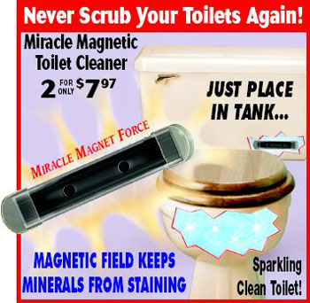 [miracle+magnetic+toilet+cleaner.jpg]