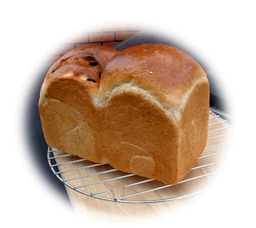 [bread.gif]
