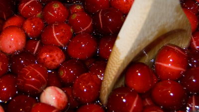 [cranberries-1.jpg]