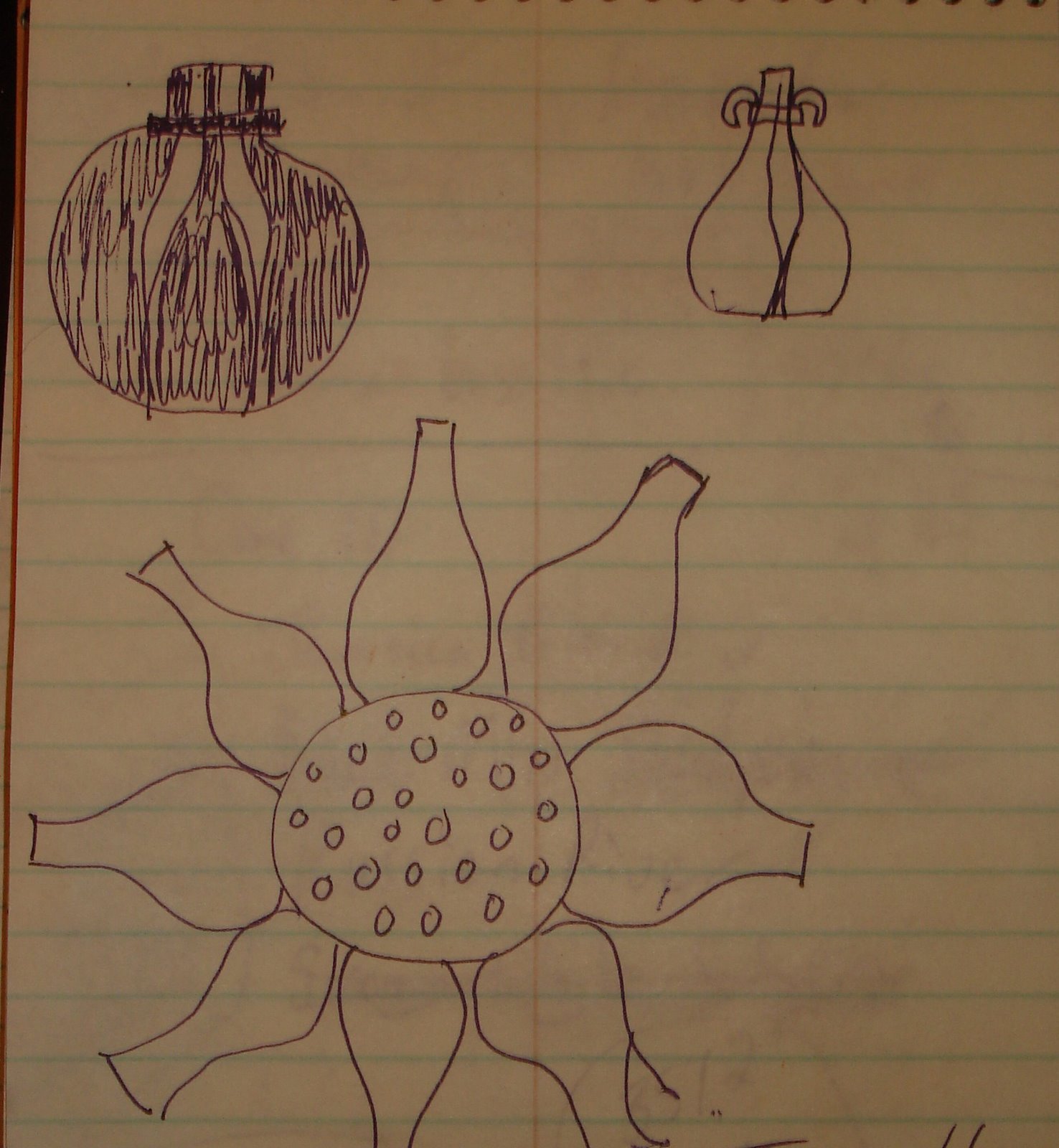 [petal+vase+drawing.JPG]