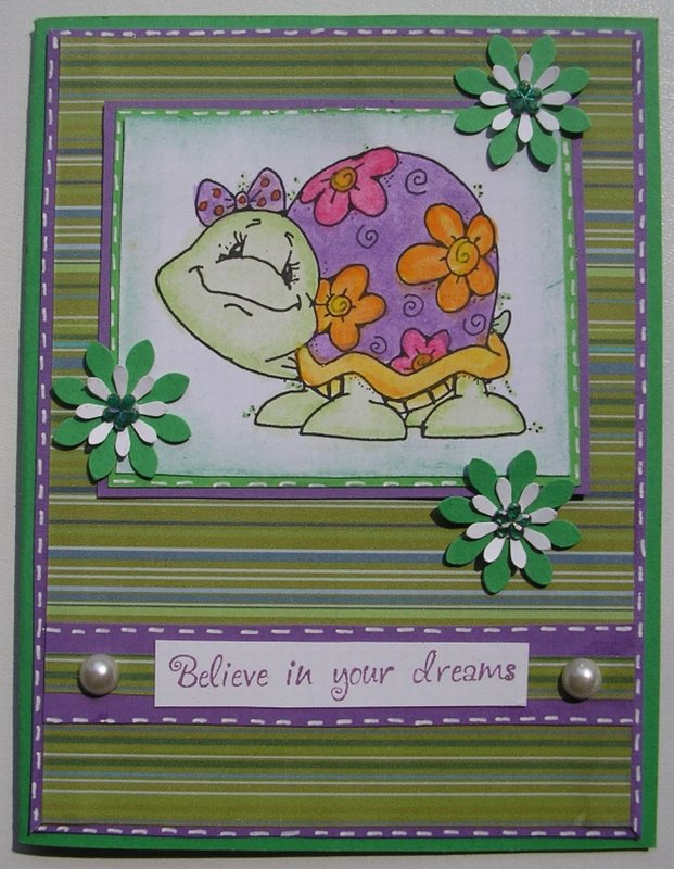 [Flower+Turtle+Grüne+Streifen+Neu.jpg]