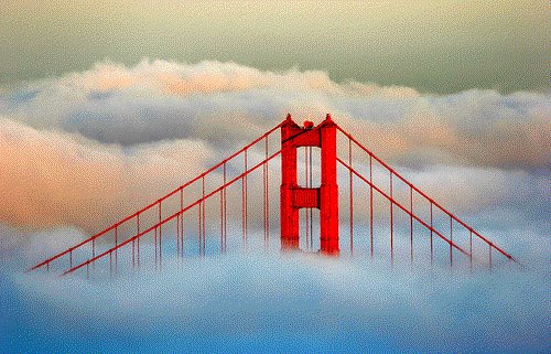 [Golden+Gate+Bridge+Fog+Pic.bmp]