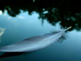 [feather+on+the+water.jpg]