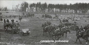 [cavalaria+polonesa.bmp]