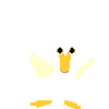 [ducks_013.gif]
