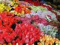Mercado de las Flores
