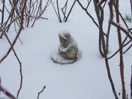 [Snow+FrogC.JPG]