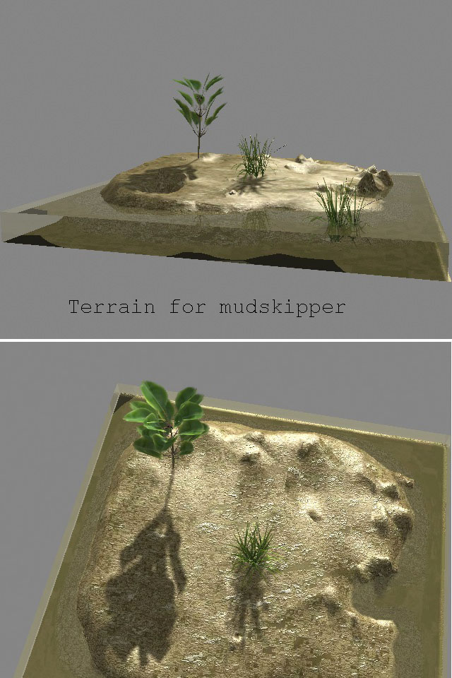 [mudskipper-terrain.jpg]