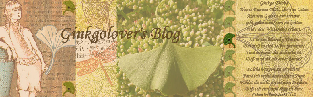 ginkgolover's blog - art and life