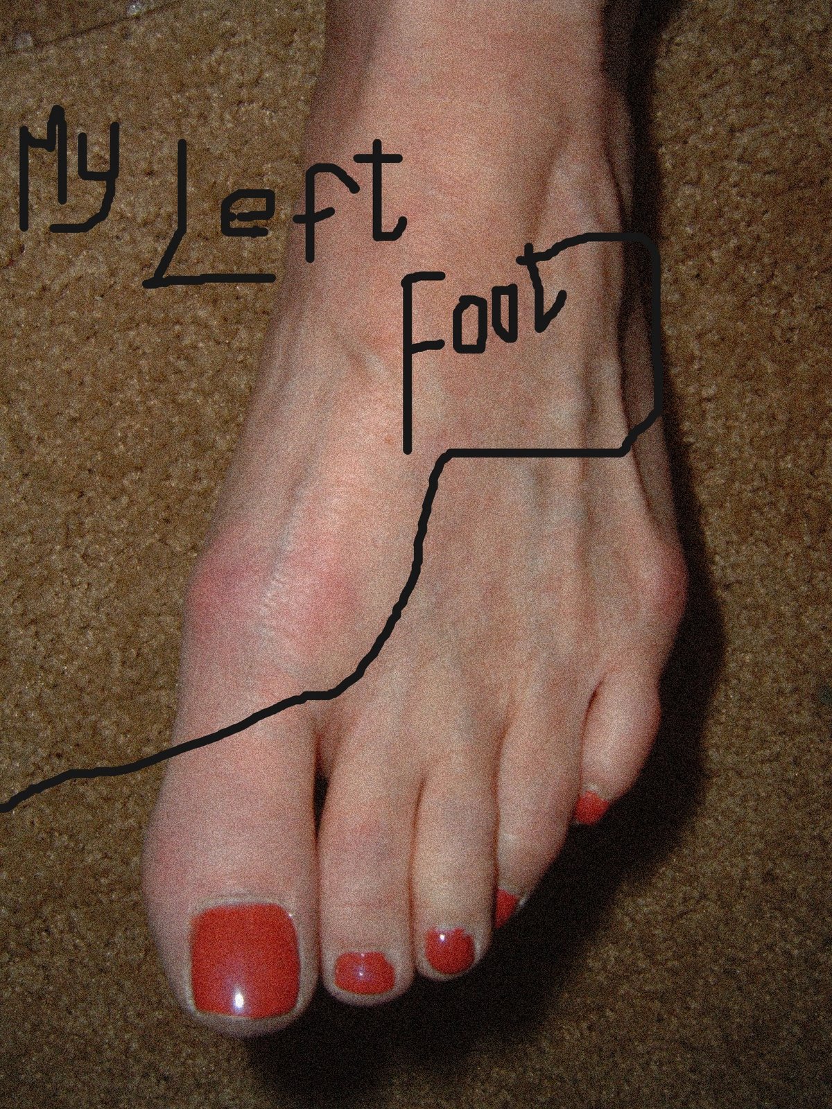 [My+Left+Foot.jpg]