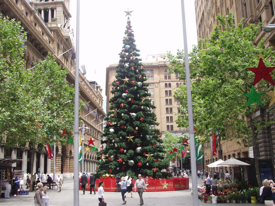 [Christmas+tree+in+Sydney.jpg]