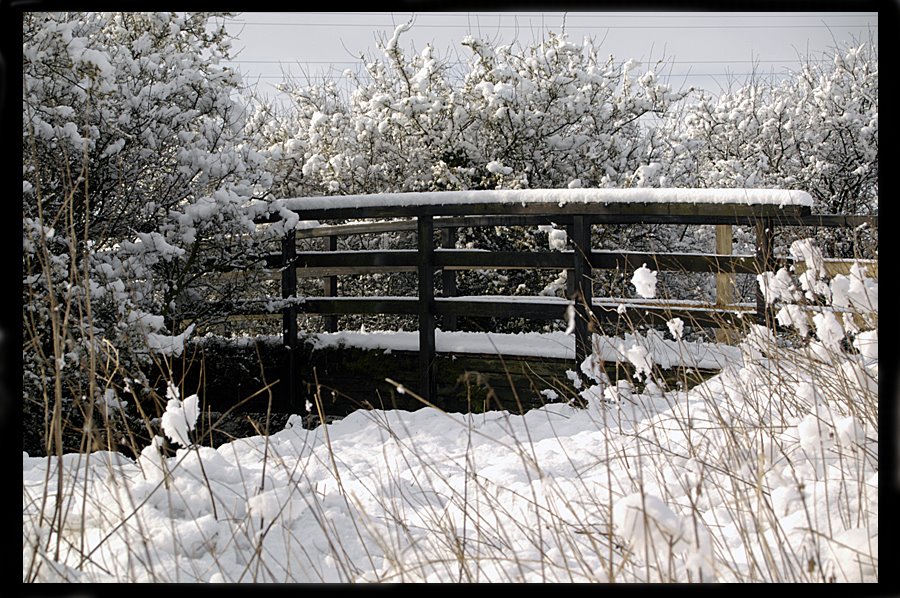 [snowy-bridge.jpg]