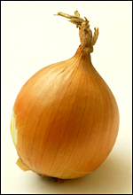 [onion.JPG]