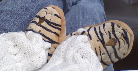 [tiger+slippers.jpg]