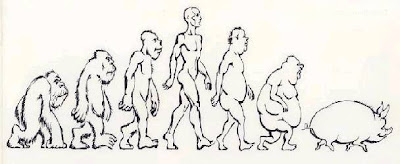 La+evolucion+del+hombre