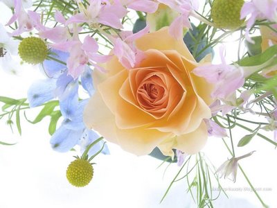 [Flowers_a_spring_bouquet_with_a_rose.jpg]