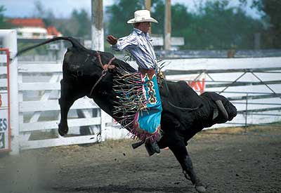 [rodeo+bullriding.jpg]