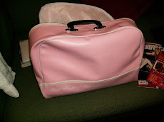Pink Flight gift bag
