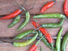 [thai+peppers.jpg]